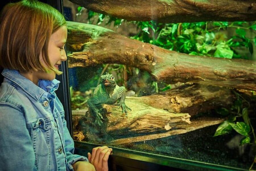 Bergen: Bergen Aquarium Entry Ticket - European otters, snakes, and geckos, plus the Norwegian coast connection