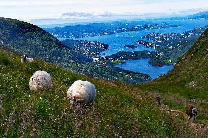 Bergen Classic Private hiking - Stop on Vidden Tursti: The Ridge Walk That Makes Bergen Click