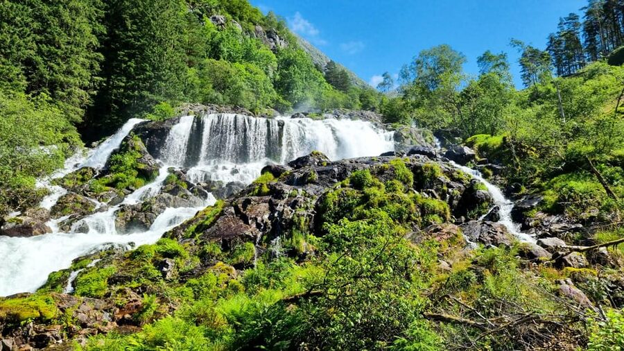 Bergen: Cruise to beautiful Rosendal by the Hardangerfjord - Key takeaways before you go