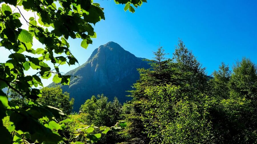 Bergen: Cruise to beautiful Rosendal by the Hardangerfjord - The Sjethaug viewpoint hike: the best “stretch goal” option