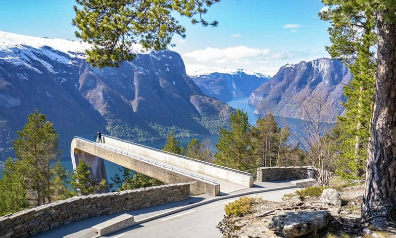Bergen: Flam Railway, Stegastein and Fjord Cruise Day Tour - Bergen to Voss: The Start of the Fjord Day