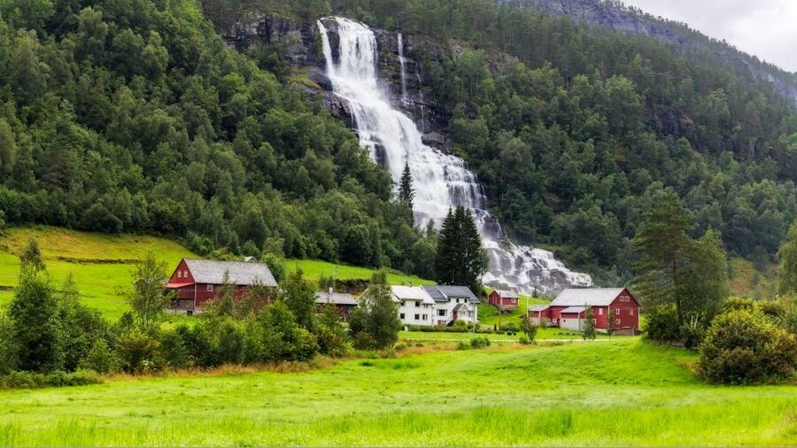 Bergen: Guided Fjord & Glacier Tour to Fjærland - Practical Tips That Make the Day Go Smooth