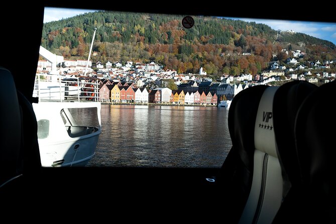 Bergen: Guided Tour by Minibus with Local Guide & Photostops - Nordnesparken: wooden houses, a witch burning memorial, and a voted-prettiest alley
