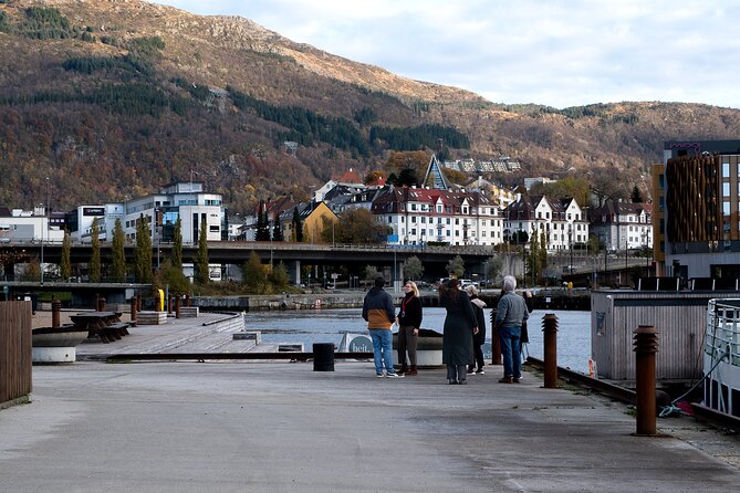 Bergen: Guided Tour by Minibus with Local Guide & Photostops - Nygårdsparken: a quiet pause in the university district