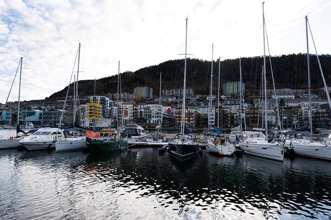 Bergen: Guided Tour by Minibus with Local Guide & Photostops - Bergenhus Fortress: the city story begins right away