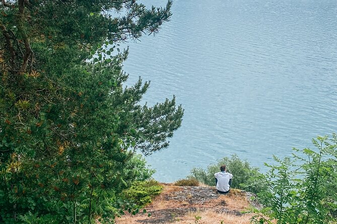 Bergen in a day, Guided tour: Old Town, Waterfalls & Waffles - Scenic Route Drive: Apple Orchards, Scenic Roads, and Glacier Hints