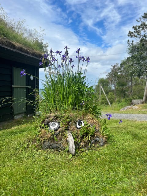 Bergen Magical Nature Tour | ViFlowExperience - Quick hits for this Bergen Magical Nature outing