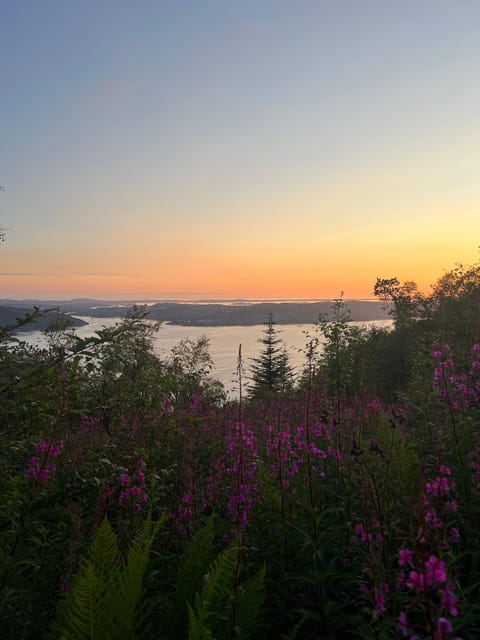 Bergen Magical Nature Tour | ViFlowExperience - Hidden-trail style walking with a local guide you can actually talk to
