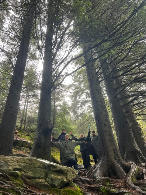 Bergen Magical Nature Tour | ViFlowExperience - The optional Norwegian sauna stop with fjord views