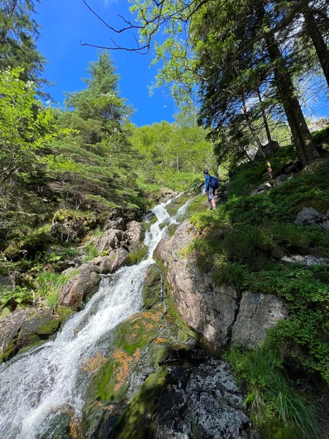 Bergen Magical Nature Tour | ViFlowExperience - What is included, and how the $251 price makes sense