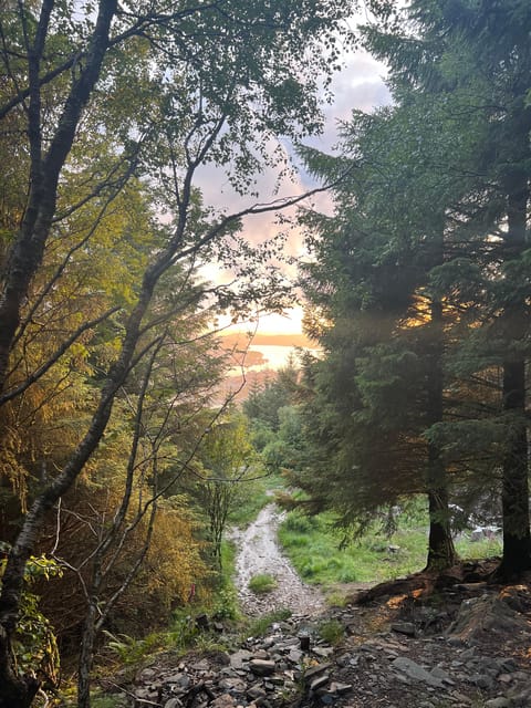 Bergen Magical Nature Tour | ViFlowExperience - Packing, weather, and rules so the day stays fun