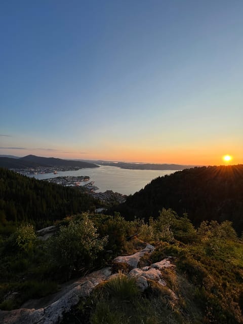 Bergen Magical Nature Tour | ViFlowExperience - Who this tour fits best, and who might skip it