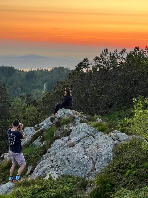 Bergen Magical Nature Tour | ViFlowExperience - Fløyen Mountain panoramas and the hike that can match your pace