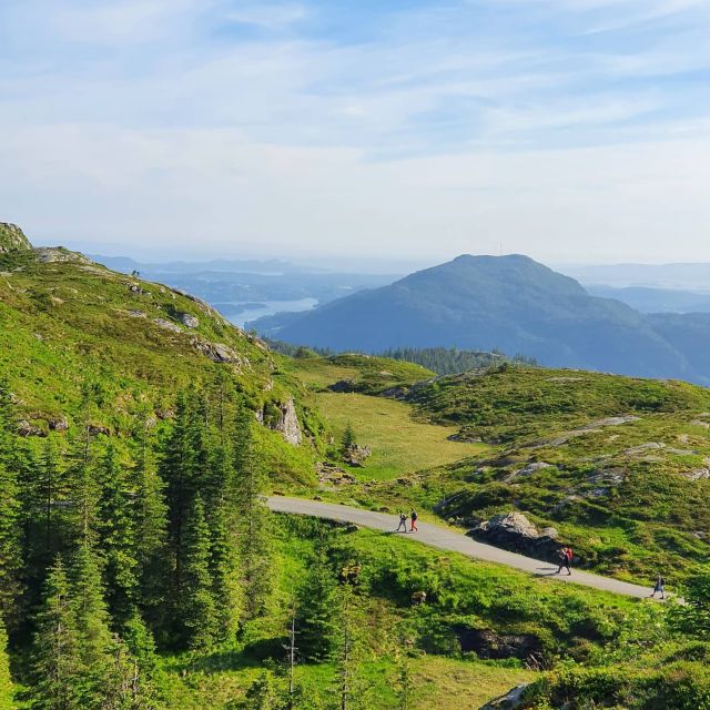 Bergen: Mountain hike on top of Bergen - Public tour - Why this Bergen hike feels different from the usual viewpoints