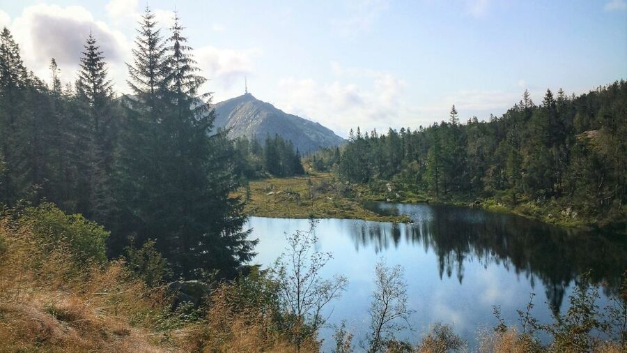 Bergen: Mountain hike on top of Bergen - Public tour - The climb itself: what “medium” really means here