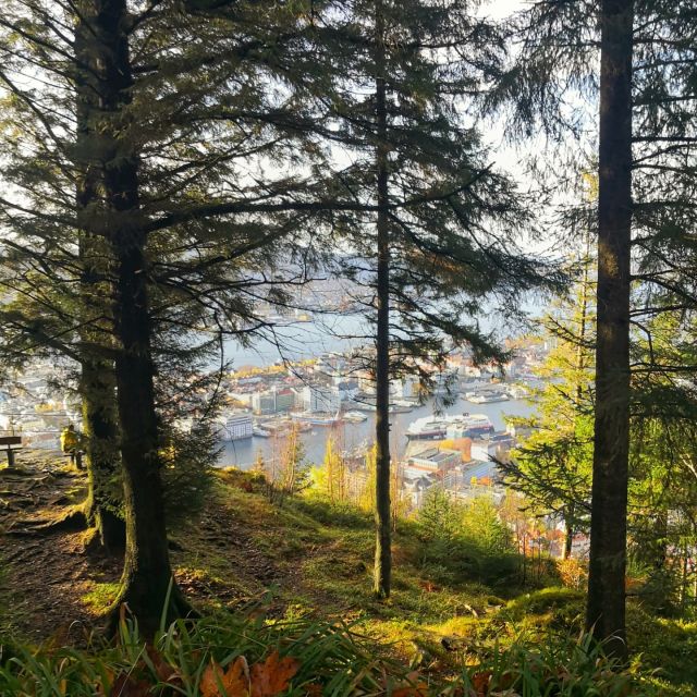 Bergen: Mountain hike on top of Bergen - Public tour - Price and value: is $146 worth it?