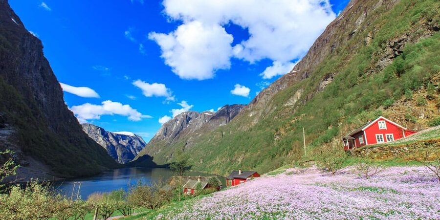 Bergen: Nærøyfjorden, Flåm, and Stegastein Guided Bus Tour - The big idea: how you cover Nærøyfjord, Flåm, and Stegastein in one run