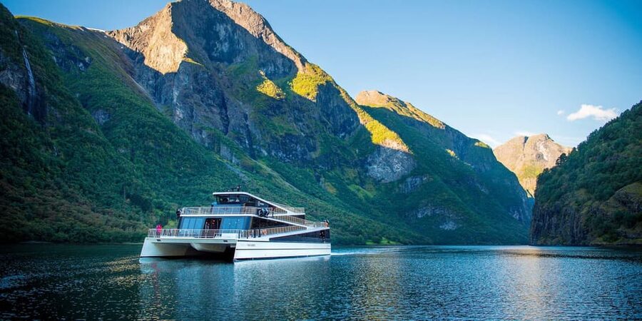 Bergen: Nærøyfjorden, Flåm, and Stegastein Guided Bus Tour - Morning logistics from Bergen, and why punctual matters