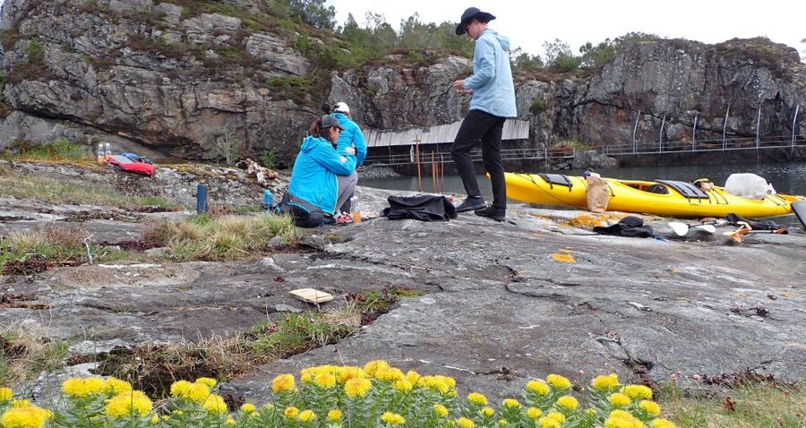 Bergen: Øygarden Islets Guided Kayaking Tour - Getting There From Bergen Tourist Information (About 40 Minutes Out)
