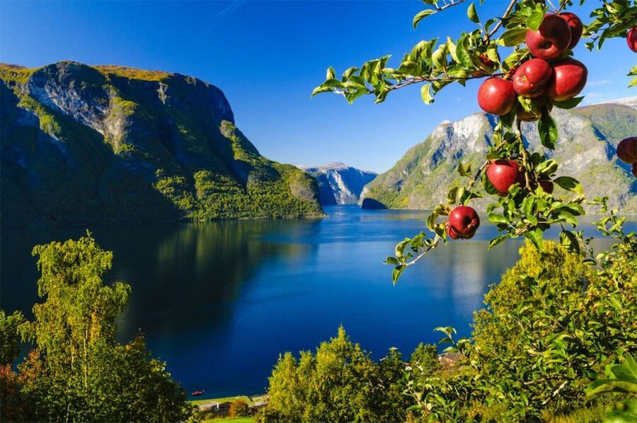 Bergen: Private Day Tour, Nærøyfjord Cruise and Flåm Railway - Price and value: what $1,259 buys you in a single day