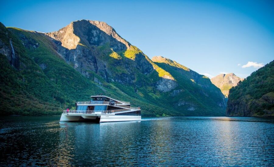 Bergen: Private Day Tour, Nærøyfjord Cruise and Flåm Railway - Who should book this private day tour