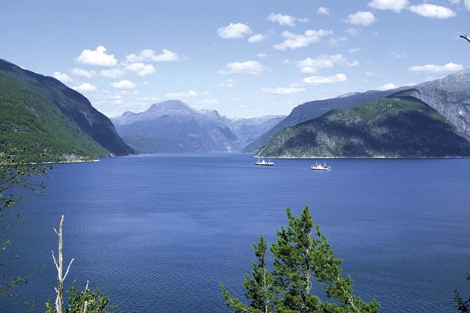 Bergen: Private Full-Day Roundtrip to Hardangerfjord with cruise - The Hardangerfjord cruise from Eidfjord or Ulvik, and why 40 minutes feels like the right length