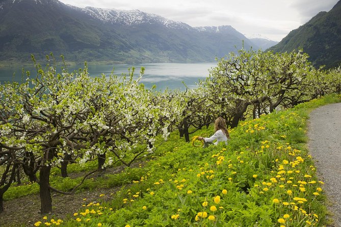 Bergen: Private Full-Day Roundtrip to Hardangerfjord with cruise - Eidfjord, Øvre Eidfjord, and the Hardangervidda Nature Centre you do not rush