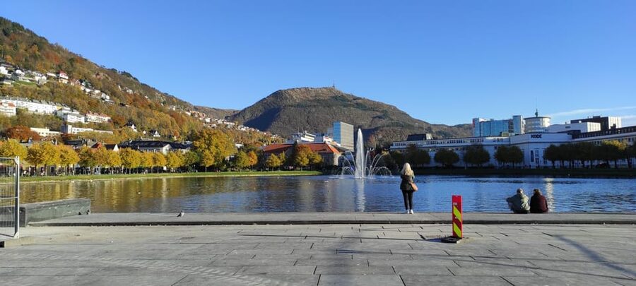 Bergen: Private tour in your own language - Timing That Works: A Real 2-Hour Plan You Can Fit
