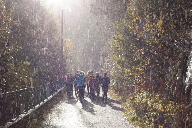 Bergen Private Walking Tour with a Local - Price and value for a $72.29 private walking tour