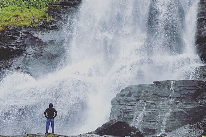 Bergen : Private Waterfalls and Wonders Tour in Norway - Eidfjord lunch break, plus the hydro power angle