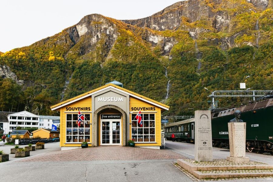 Bergen: Self-Guided Round-Trip Full-Day Excursion - Bergen Railway to Voss: scenic trains that actually help