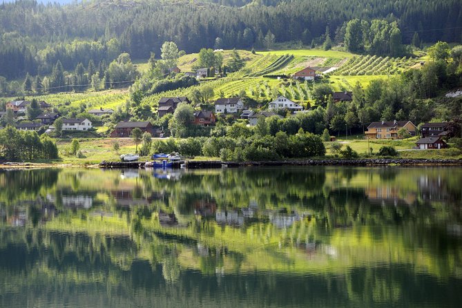 Bergen: Self-Guided Roundtrip (Sognefjord Cruise 5h & Flamsbana) - Voss to Ulvik by bus: mountain scenery without train transfers chaos