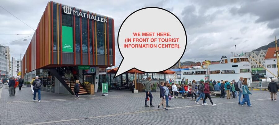Bergen: Sightseeing Walking Tour with Ferry Ride - Tips to Make the Most of Your 2 Hours (So You Use It Later)