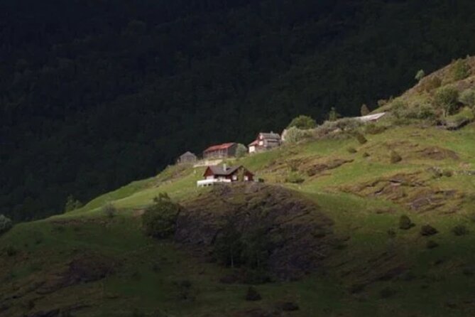 Bergen to Flam "The King of Fjords" One-Way or Round-Trip Cruise Ticket - The fjord cruise experience: 11 village stops and the rhythm of the day