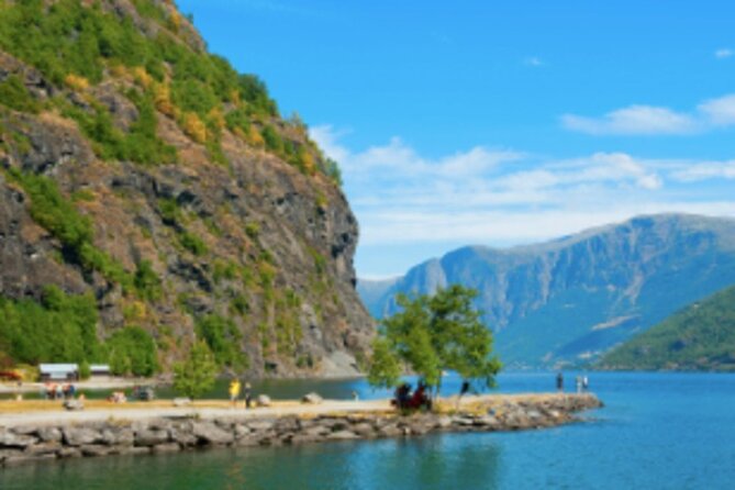 Bergen to Flam "The King of Fjords" One-Way or Round-Trip Cruise Ticket - Who should book this Bergen to Flåm cruise?