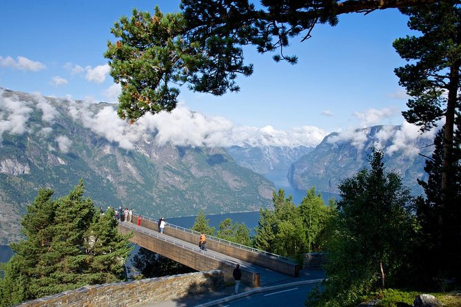 Bergen to Sognefjord Private Roudtrip with Cruise and Flasmbana - Price and value: what you are really paying for at $780.91 per person