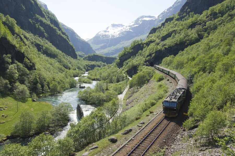Bergen: Viking Village, Nærøyfjord Cruise & Flåm Railway - Myrdal, the Bergen Railway link, and the final push to Voss