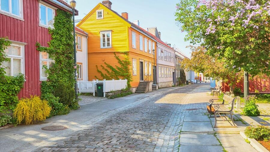 Best of Trondheim: Private Walking Tour with a Local - Who should book this private Trondheim walking tour