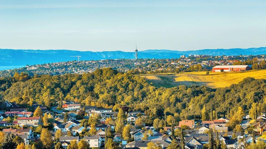 Best of Trondheim: Private Walking Tour with a Local - Should you book Best of Trondheim: Private Walking Tour with a Local?