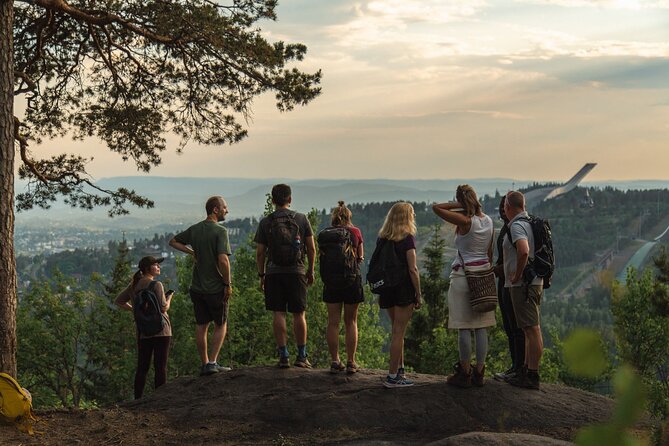 Best View of the Oslofjord Hike - Who should do the Vettakollen hike (and who might not)