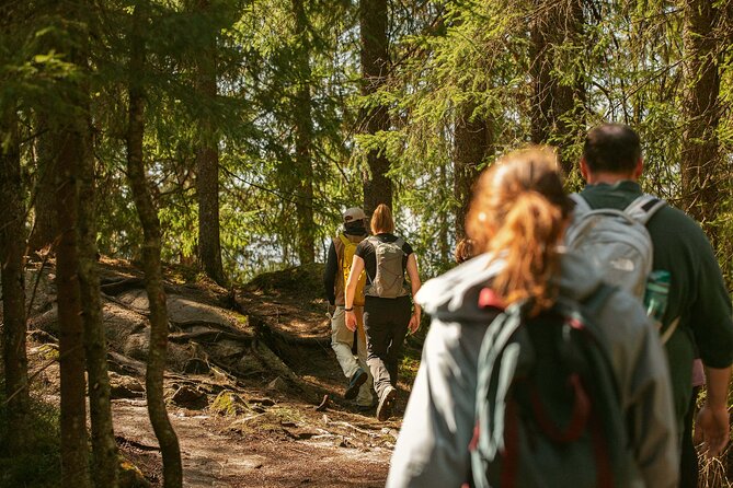 Best View of the Oslofjord Hike - Metro ride and Frognerseteren, your gentle exit from the city