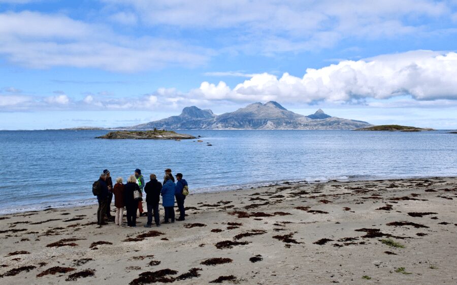 Bodø: Arctic Coastal Walk - Starting at Terminalveien 2408 and the Hurtigruten Quay Meeting Point