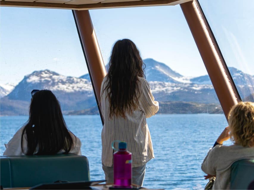 Bodø: Beiar Fjord & Saltstraument Cruise - What the guides add (and what you should ask yourself)