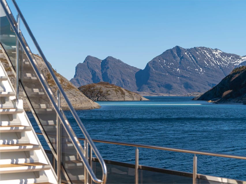 Bodø: Beiar Fjord & Saltstraument Cruise - Should you book? My honest take