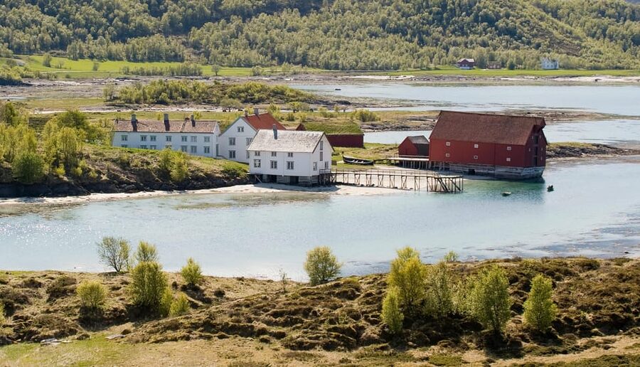 Bodø: Kjerringøy & Silent Coastal Cruise - Wildlife, History, and Stories That Make the Route Stick