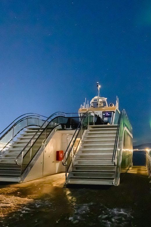 Bodø: Northern Lights Cruise - Where Bodø fits into the story, even after dark
