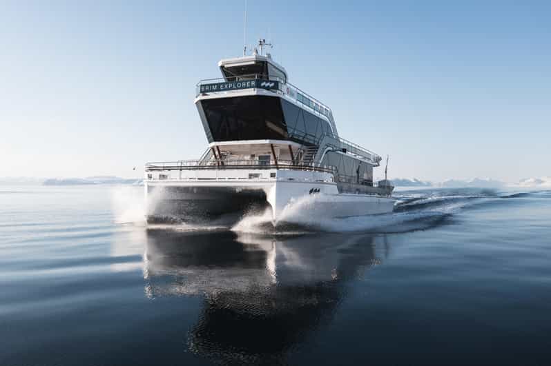 Bodø: Northern Lights Cruise - Chances are good, but you need to accept the weather reality