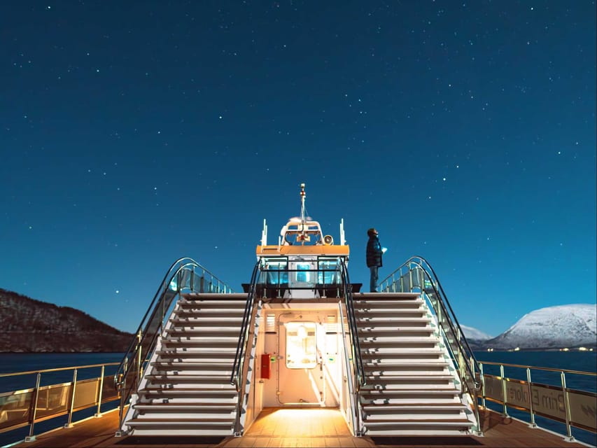 Bodø: Northern Lights Cruise - Itinerary flow, in the real-world sequence