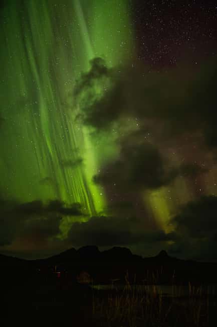 Bodø: Northern Lights safari - Key points before you go