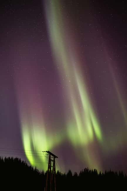 Bodø: Northern Lights safari - Stop One: The First 30-Minute Viewpoint Photo Stop